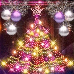 Meet your Posher, Clara